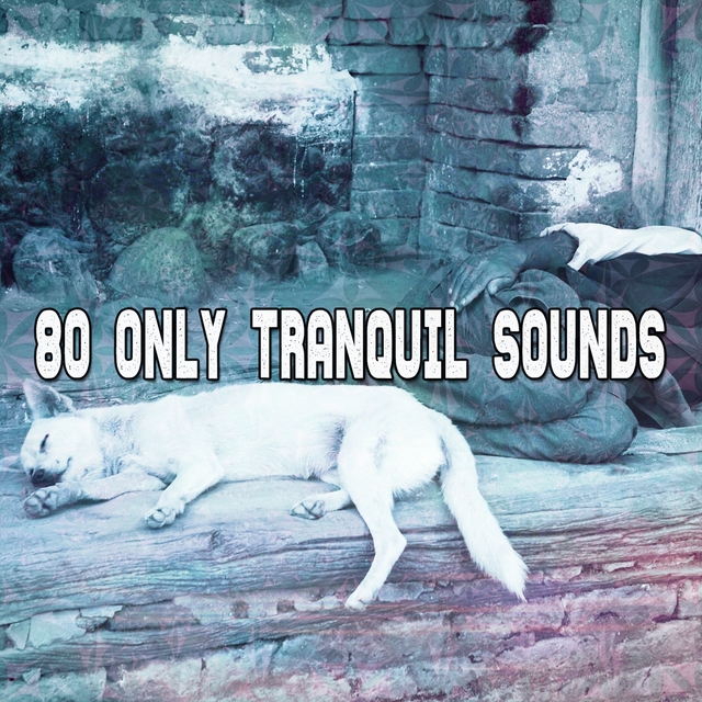 Couverture de 80 Only Tranquil Sounds