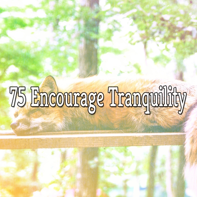Couverture de 75 Encourage Tranquility