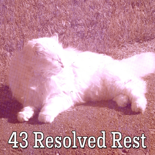 Couverture de 43 Resolved Rest