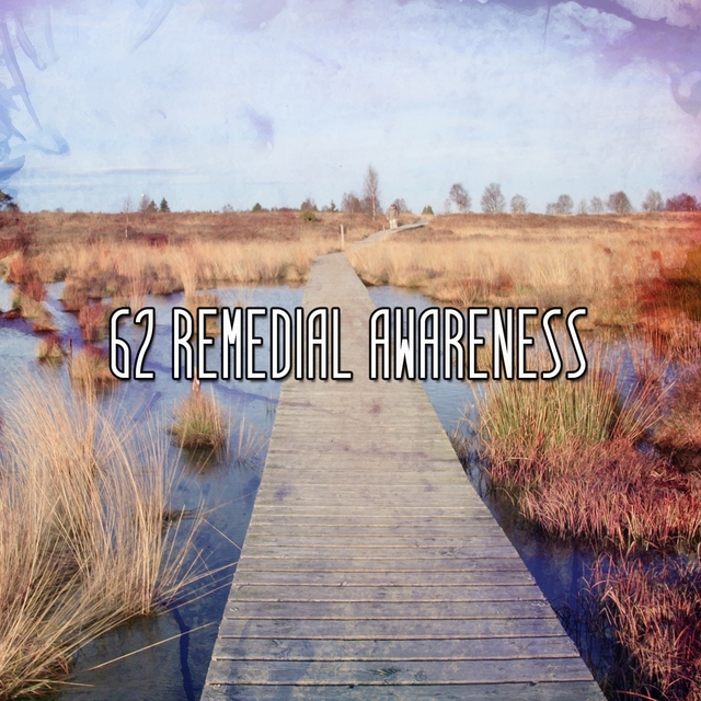 62 Remedial Awareness