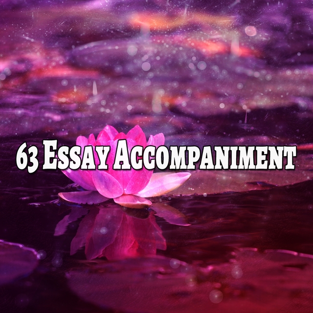 Couverture de 63 Essay Accompaniment