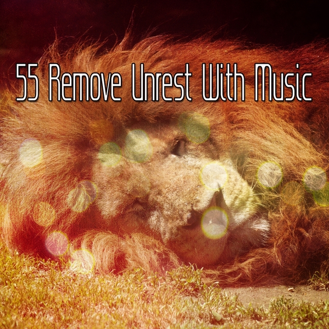 Couverture de 55 Remove Unrest With Music