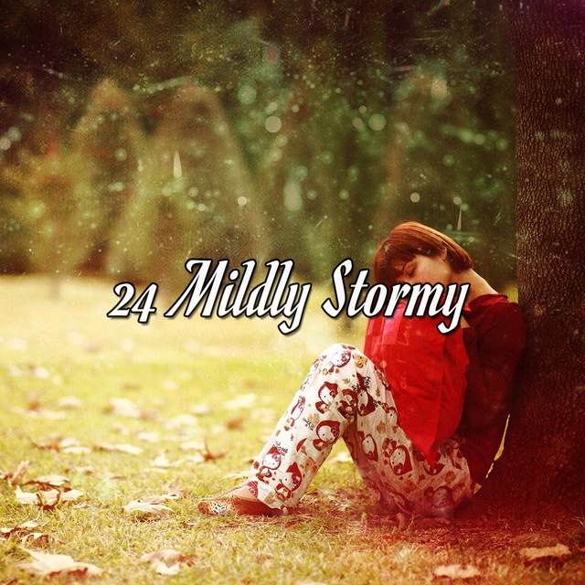 Couverture de 24 Mildly Stormy