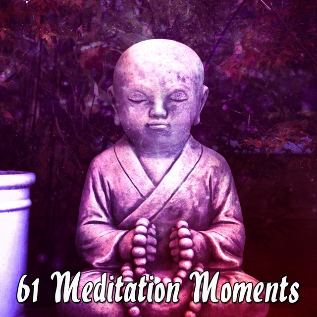 61 Meditation Moments