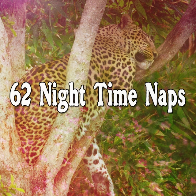 62 Night Time Naps