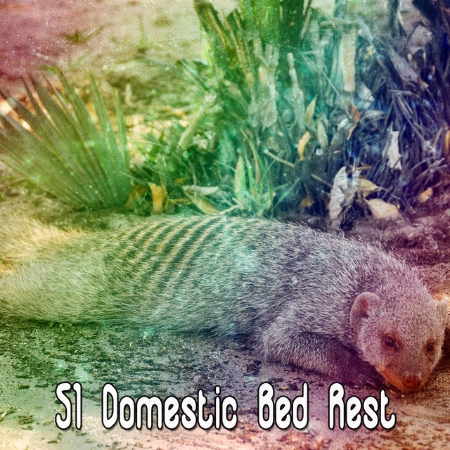 51 Domestic Bed Rest