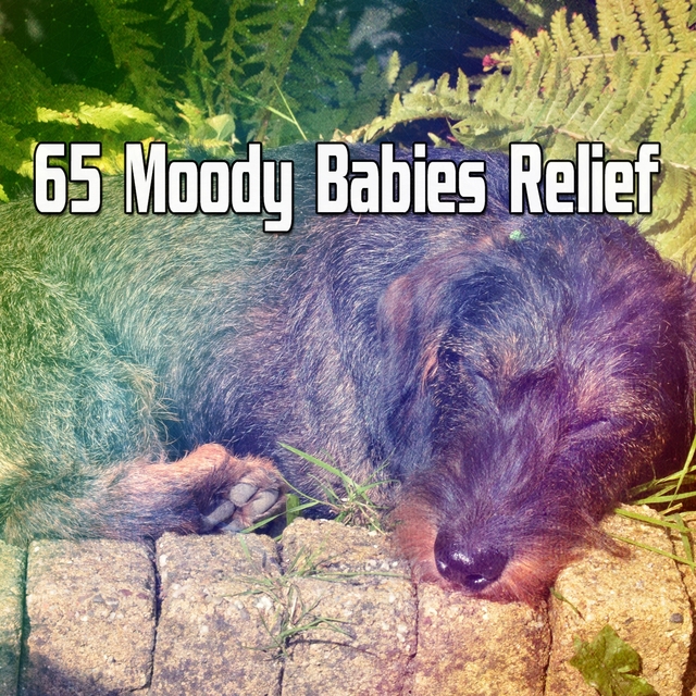 Couverture de 65 Moody Babies Relief