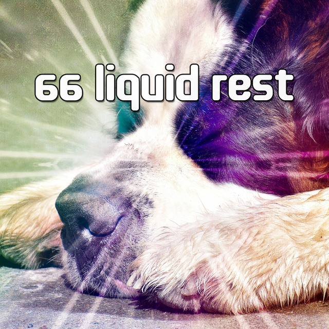 66 Liquid Rest