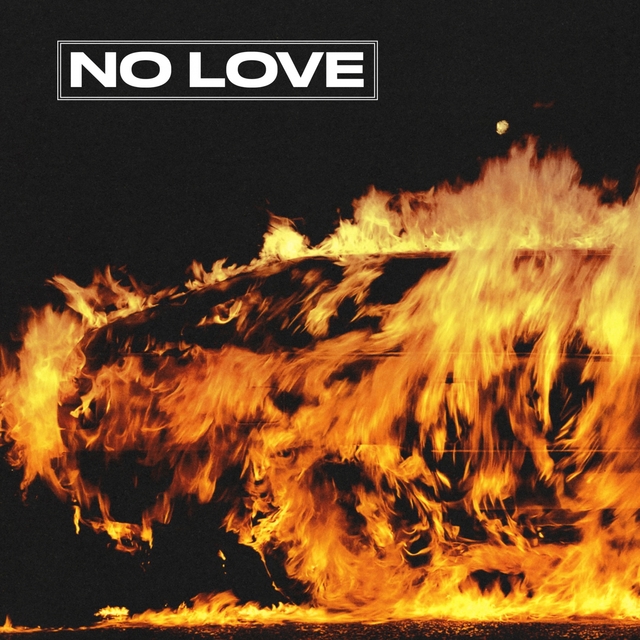 Couverture de No Love