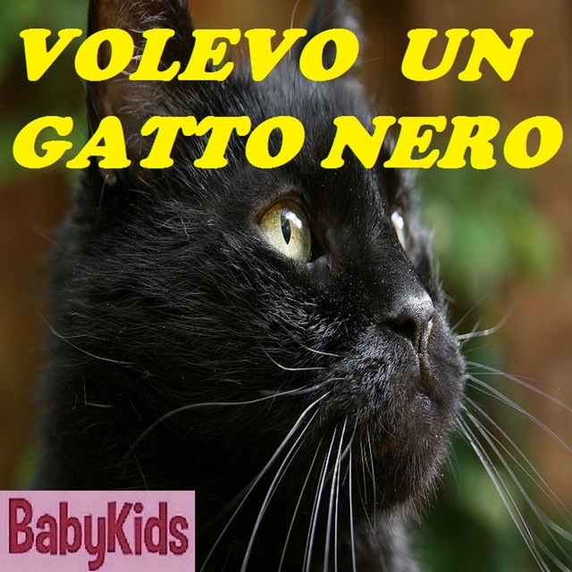 Couverture de VOLEVO UN GATTO NERO