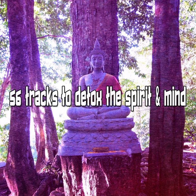 56 Tracks To Detox The Spirit & Mind