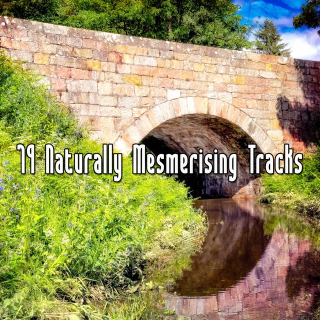 79 Naturally Mesmerising Tracks