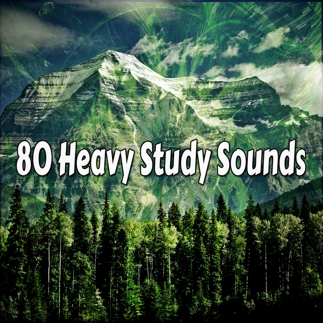 Couverture de 80 Heavy Study Sounds