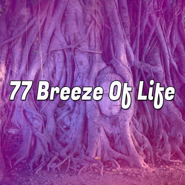 77 Breeze Of Life