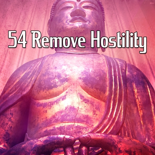 54 Remove Hostility