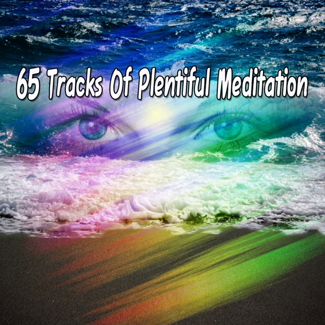 Couverture de 65 Tracks Of Plentiful Meditation