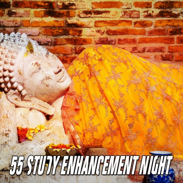 55 Study Enhancement Night