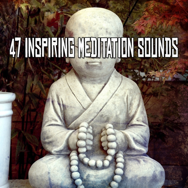 Couverture de 47 Inspiring Meditation Sounds