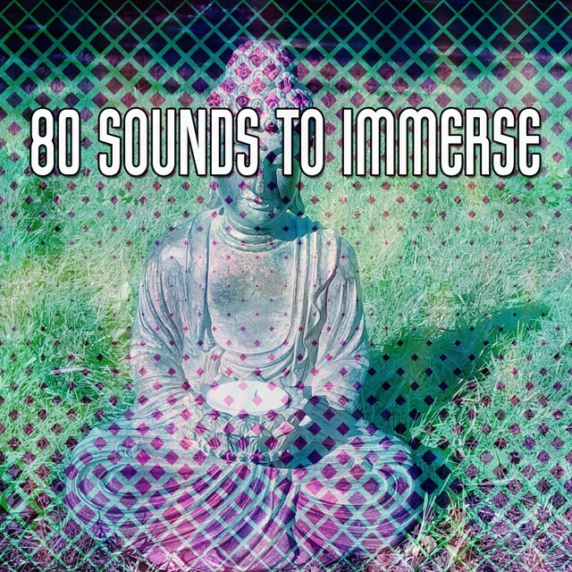 Couverture de 80 Sounds To Immerse