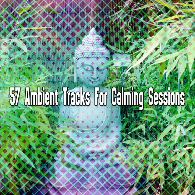 Couverture de 57 Ambient Tracks For Calming Sessions