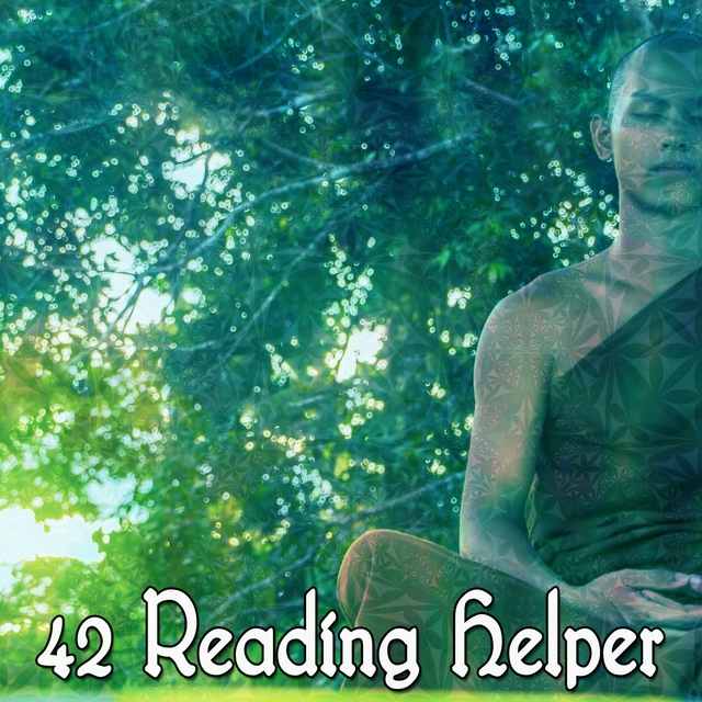 Couverture de 42 Reading Helper