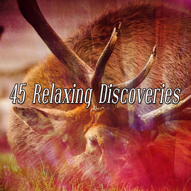 45 Relaxing Discoveries