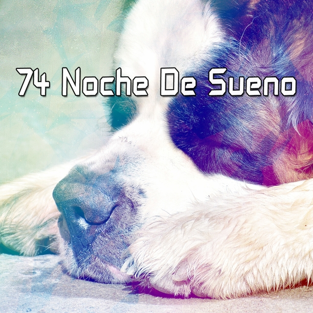 Couverture de 74 Noche De Sueno