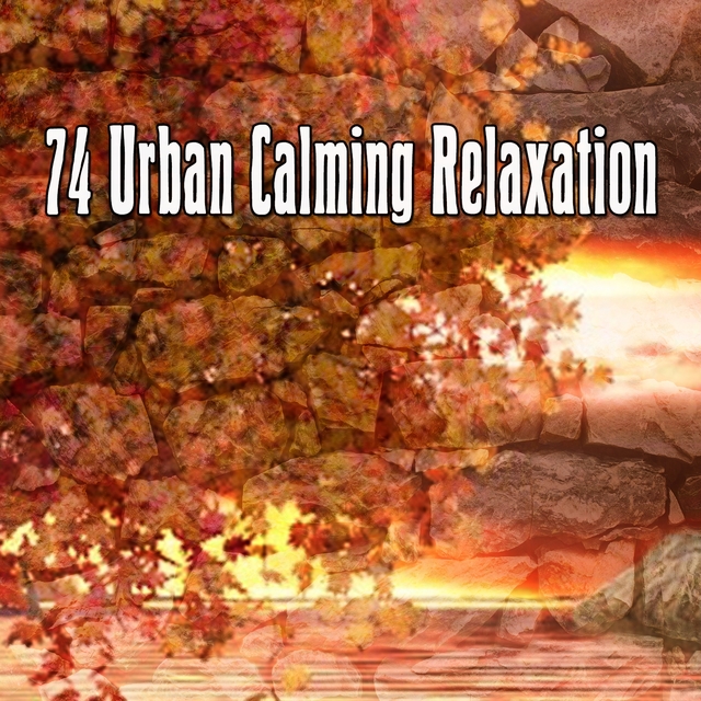 74 Urban Calming Relaxation