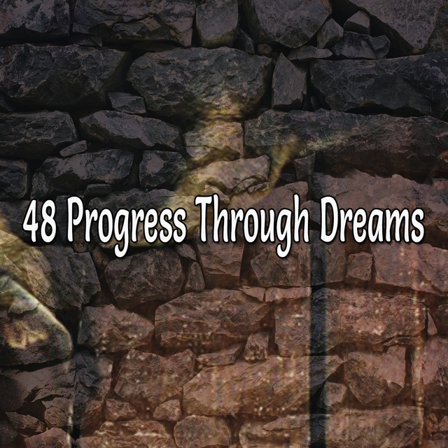 48 Progress Through Dreams