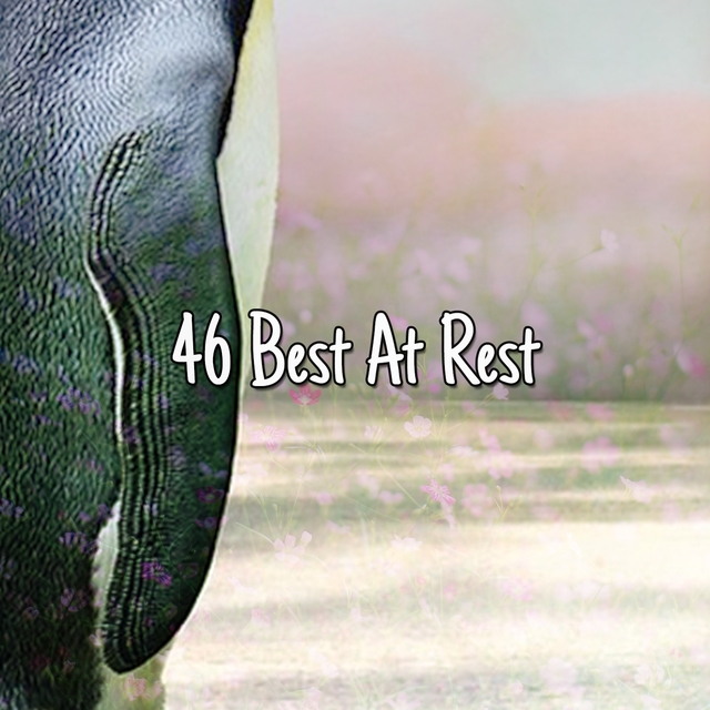 Couverture de 46 Best At Rest