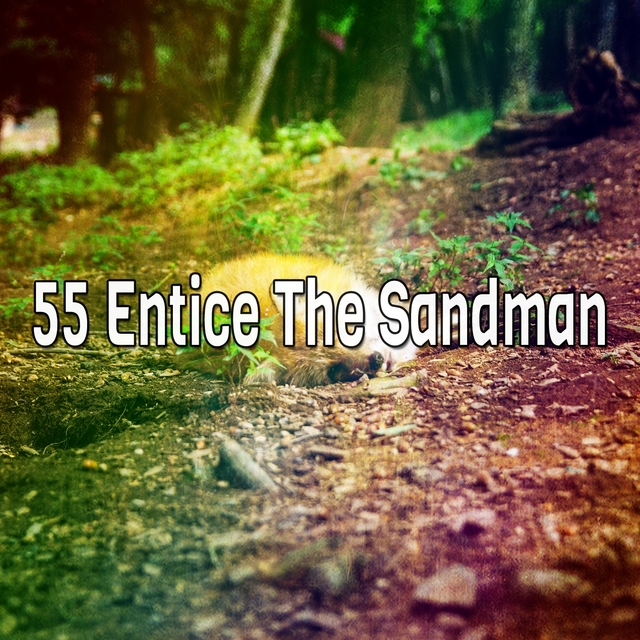 55 Entice The Sandman