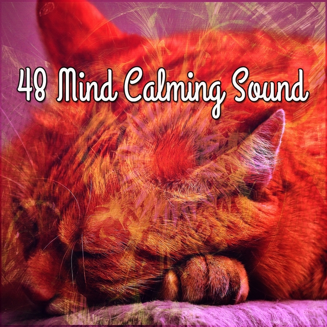 48 Mind Calming Sound