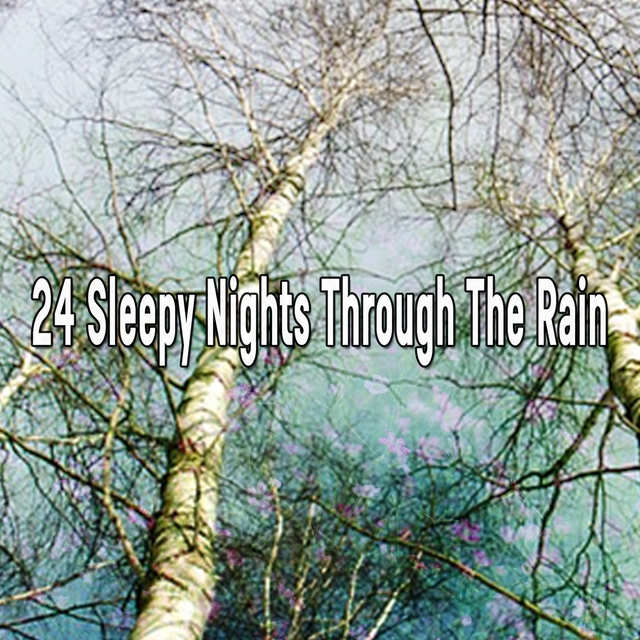 24 Sleepy Nights Through The Rain