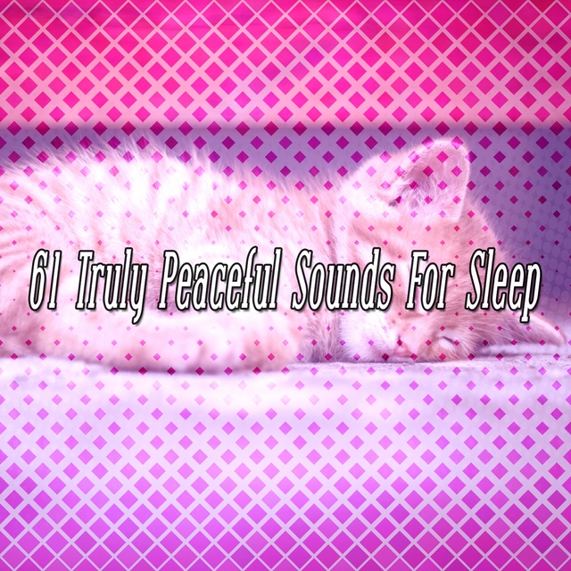 Couverture de 61 Truly Peaceful Sounds For Sleep