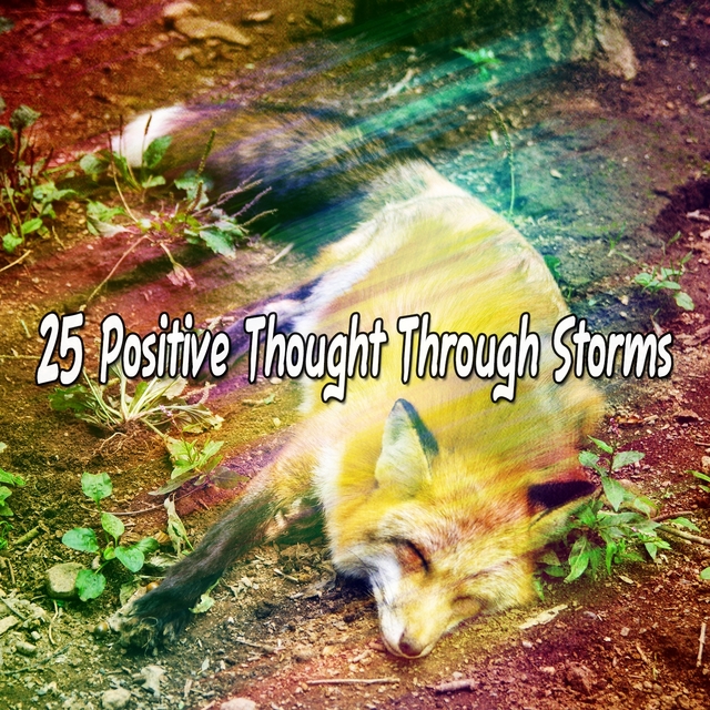 25 Positive Thought Through Storms