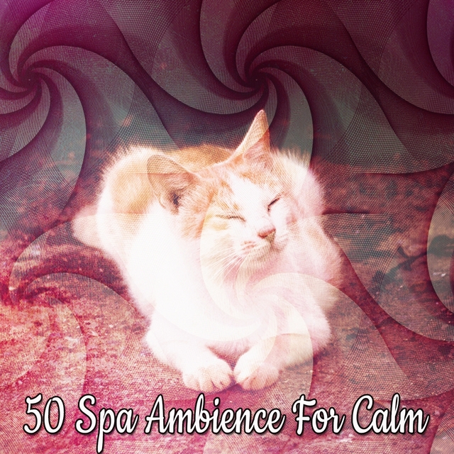 50 Spa Ambience For Calm