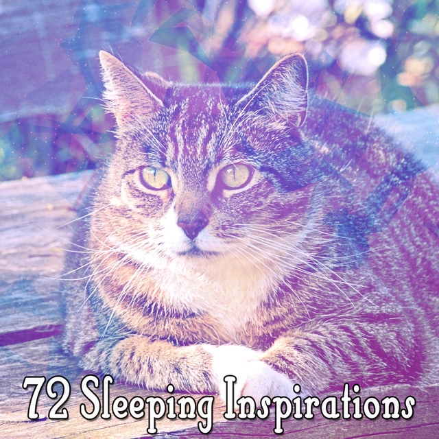 72 Sleeping Inspirations