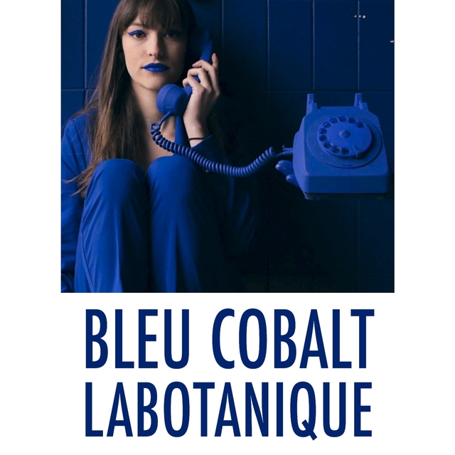 Couverture de Bleu cobalt