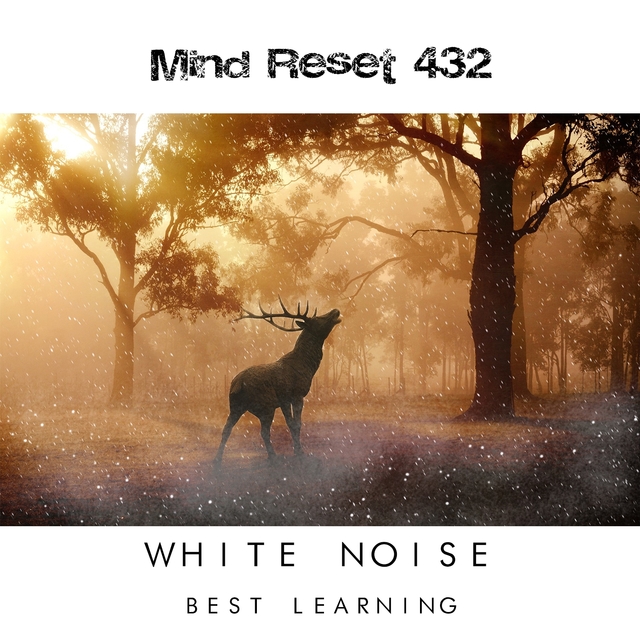 White noise - Best learning