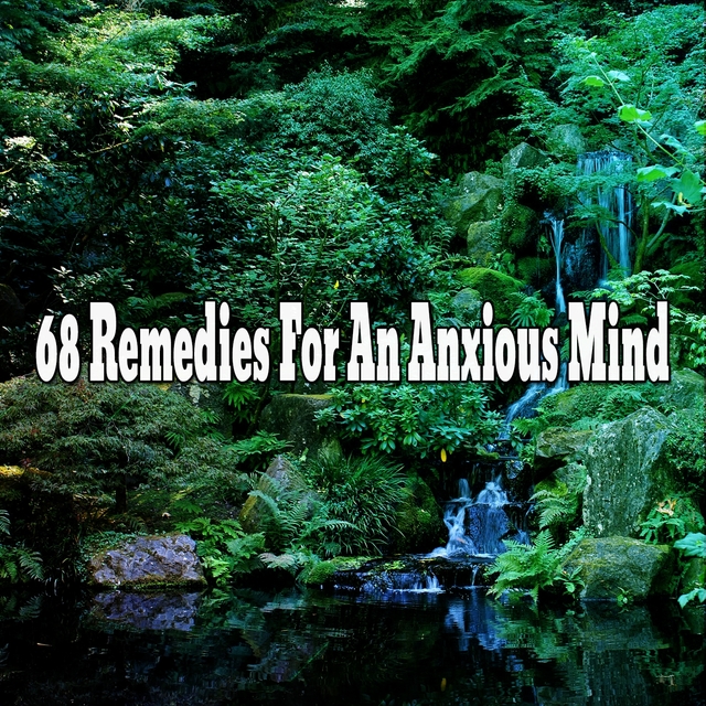 68 Remedies For An Anxious Mind