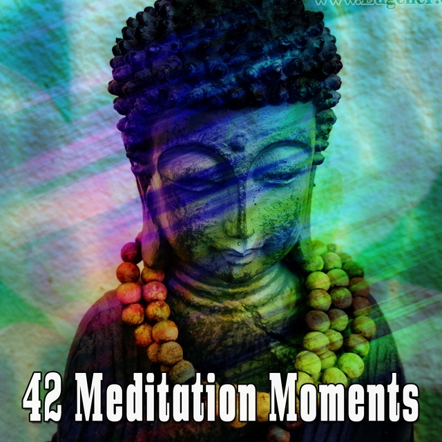 Couverture de 42 Meditation Moments