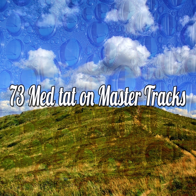 73 Meditation Master Tracks