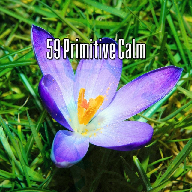 Couverture de 59 Primitive Calm