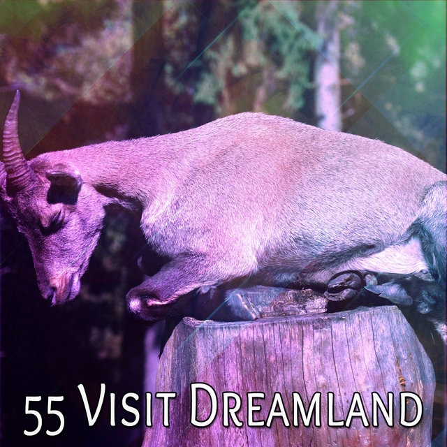 Couverture de 55 Visit Dreamland