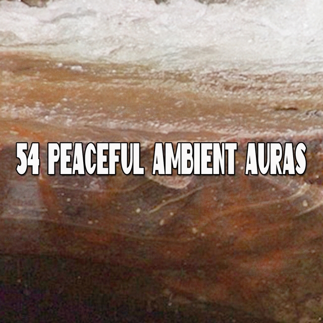 54 Peaceful Ambient Auras