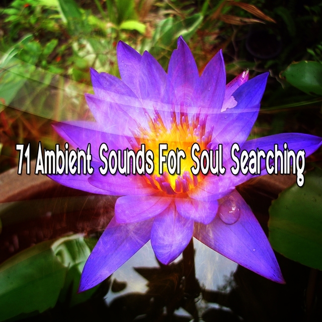 Couverture de 71 Ambient Sounds For Soul Searching