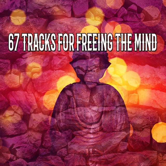 Couverture de 67 Tracks For Freeing The Mind