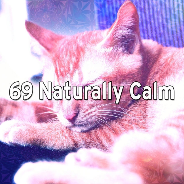 Couverture de 69 Naturally Calm