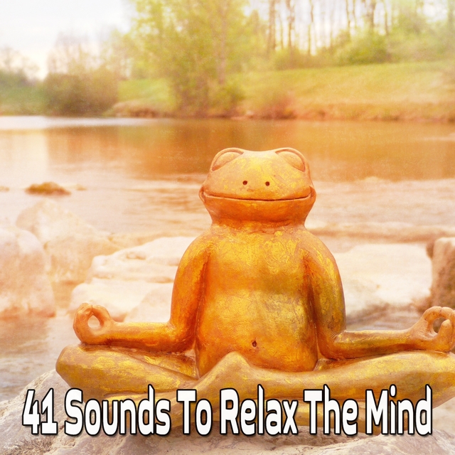 Couverture de 41 Sounds To Relax The Mind