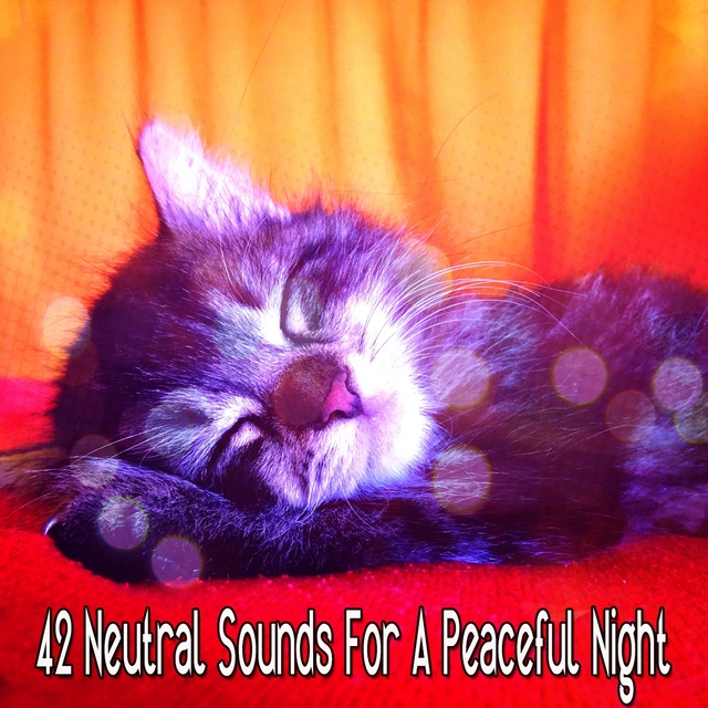 Couverture de 42 Neutral Sounds For A Peaceful Night